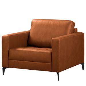 Fauteuil Songer Microfibre Gardi: Marron foncé