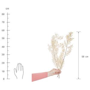 Kunstblume FLOWER MARKET Ruscus Pflanzenblatt - Creme - Creme - Höhe: 0.5 cm