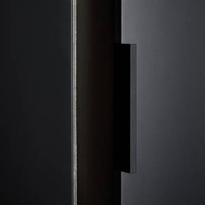 Drehtürenschrank Ricco Rauchglas - Schwarz - Breite: 280 cm