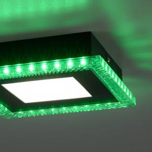 LED-Deckenleuchte Acri Polycarbonat / Eisen - 2-flammig - Flammenanzahl: 2