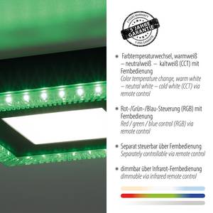 LED-Deckenleuchte Acri Polycarbonat / Eisen - 2-flammig - Flammenanzahl: 2