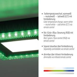 LED-plafondlamp Acri polycarbonaat / ijzer - 2 lichtbronnen - Aantal lichtbronnen: 2