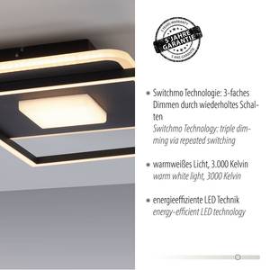 Domino LED-Deckenleuchte home24 | kaufen A Typ