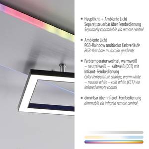 LED-plafondlamp Renda type A polycarbonaat / aluminium - 2 lichtbronnen