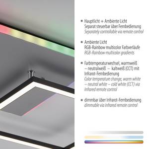 LED-Deckenleuchte Renda Typ B Polycarbonat / Aluminium - 2-flammig