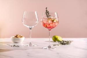 Set di 2 bicchieri da Gin Tonic Il Mondo – Acquista online