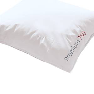 Daunenbettdecke Premium 750 Warm Baumwolle / Gänsedaunen - Weiß - 240 x 220 cm