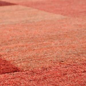 Tapis en laine Dalas 100 % laine vierge - Rouge - 250 x 300 cm