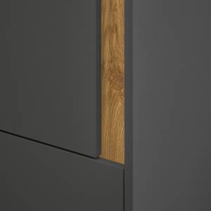 Armoire Olon 158 cm Anthracite