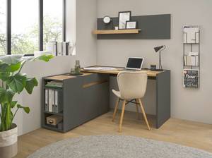 Bureau Olon Anthracite