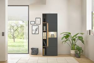 Armoire Olon avec porte vitrée Anthracite