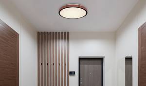 Lampada da soffitto Sammi Vetro acrilico / Alluminio - 1 punto luce - Rosso Vinaccia - Diametro: 42 cm
