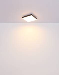 Lampada da soffitto Doro A Vetro acrilico / Ferro - 1 punto luce - Nero