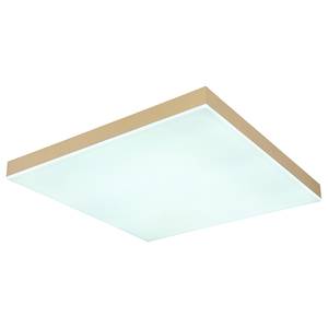 Lampada da soffitto Doro B Ferro / Ottone/ Vetro acrilico - 1 punto luce - Ottone