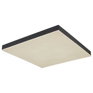 Lampada da soffitto Doro B Vetro acrilico / Ferro - 1 punto luce - Nero