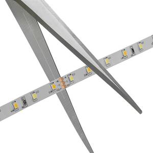 Striscia LED White 2700-6000K PVC - Trasparente - Larghezza: 300 cm