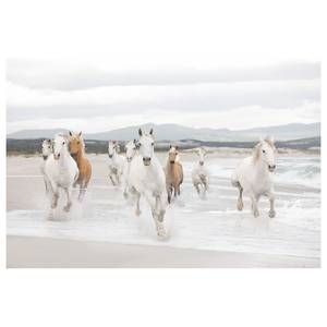 Fotobehang White Horses Speciaal fotobehangpapier