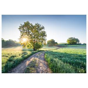 Fotobehang Meadow Trail Speciaal fotobehangpapier