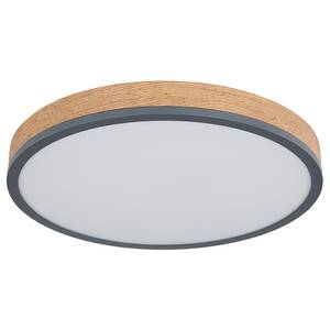 LED-plafondlamp Doro type B acrylglas/ijzer - 1 lichtbron - Diameter: 45 cm