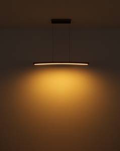 LED-Pendelleuchte Doro Acrylglas / Eisen - 1-flammig