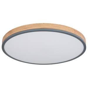 LED-plafondlamp Doro type H acrylglas/ijzer - 1 lichtbron