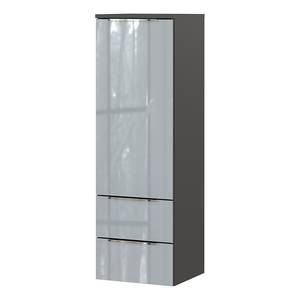 Armoire midi murale Vasio Verre - Gris argenté / Graphite