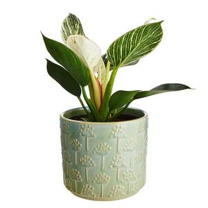 Pot de fleurs FLORET Faïence - Vert pastel