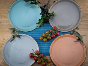 Set di 4 piatti da pizza Vintage Nature Porcellana - Multicolore