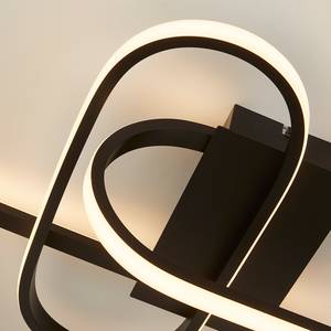 Lampada da soffitto Clip Acciaio - Nero - 1 punti luce