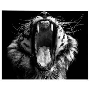 Metalen afbeelding Black & White Tiger aluminium - grijs - 40 x 50 cm