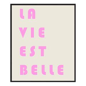 Quadro La Vie Est Belle Pink Faggio massello / Vetro acrilico - Nero - 52 x 62 cm