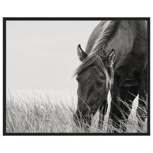 Tableau déco Sable Horse Hêtre massif / Plexiglas - Noir - 42 x 52 cm