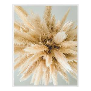 Bild Pampas Grass 42 x 52 x 2.6 cm