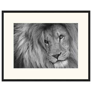 Afbeelding Lion King 73 x 93 x 2.6 cm