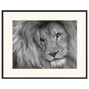 Bild Lion King 52 x 62 x 2.6 cm