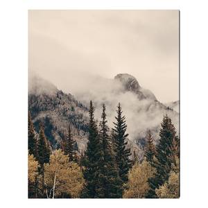 Quadro di metallo Foggy Banff Alluminio - Multicolore - 40 x 50 cm