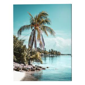 Metalen afbeelding Palm Tree aluminium - meerdere kleuren - 30 x 40 cm