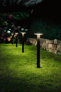 Illuminazione Plug & Shine Poller Plate Materiale plastico - Nero - Bianco caldo - Bianco freddo