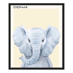 Quadro Elephant Faggio massello / Vetro acrilico - Nero - 53 x 63 cm