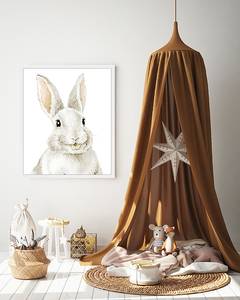 Tableau déco Bunny Hêtre massif / Plexiglas - Blanc - 53 x 63 cm