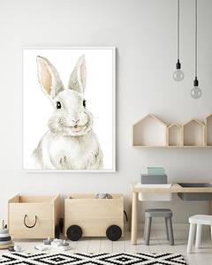 Bild Bunny Buche Massiv / Acrylglas - Weiß - 63 x 83 cm