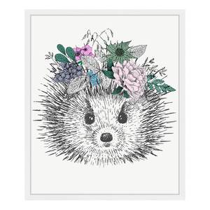 Quadro Hedgehog Faggio massello / Vetro acrilico - Bianco - 53 x 63 cm