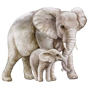 Impression sur toile Elephant with Child Pin massif / Lin - Gris - 40 x 50 cm