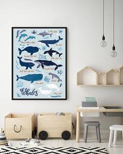 Afbeelding All Kind Of Whales massief beukenhout/acrylglas - zwart - 63 x 83 cm