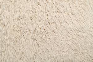 Tapis Fluffy Laine vierge - Beige - 180 x 250 cm