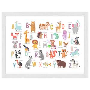 Bild The Animal Alphabet Buche Massiv / Acrylglas - Weiß - 33 x 43 cm