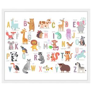 Bild The Animal Alphabet Buche Massiv / Acrylglas - Weiß - 53 x 63 cm