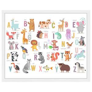 Tableau déco The Animal Alphabet Hêtre massif / Plexiglas - Blanc - 43 x 53 cm