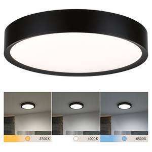 Lampada da soffitto Tega Vetro acrilico - 1 punto luce - Nero