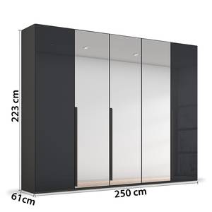 Drehtürenschrank Purisma Spiegel Typ A Glas - Glas Grau - Breite: 251 cm